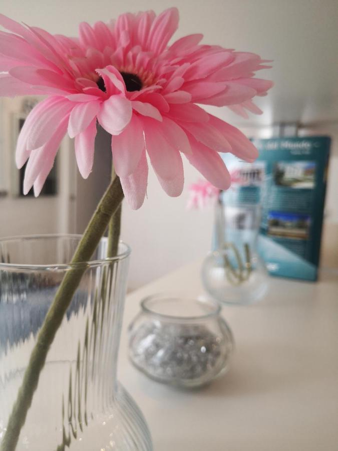 Appartement Apartamento Rosa Puerta Del Sol à Madrid Extérieur photo